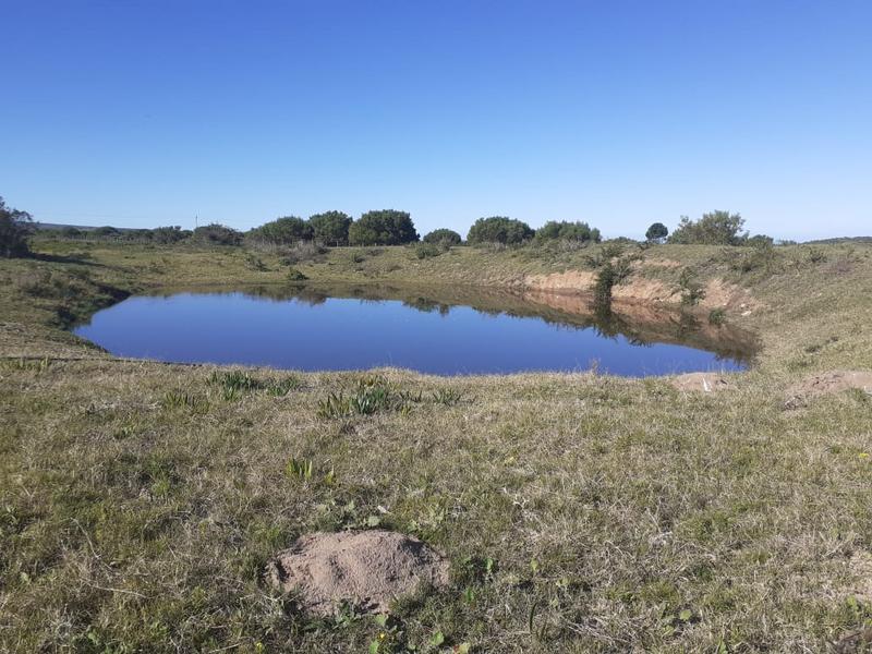 0 Bedroom Property for Sale in Mossel Bay Rural Western Cape